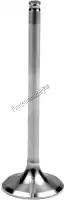 VE210203S, Athena, Sv steel exhaust valve    , Nieuw