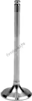 VE210204S, Athena, Sv steel exhaust valve    , New