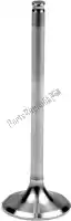 VE210206S, Athena, Sv steel exhaust valve    , Nieuw