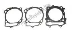 Here you can order the race gasket kit from Athena, with part number R5106061: