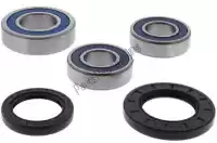 200251749, ALL Balls, Wiel keer wheel bearing kit 25-1749    , Nieuw