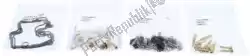 Qui puoi ordinare rep kit di ricostruzione carburatore 26-1647 da ALL Balls , con numero parte 200261647:
