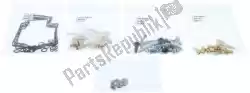 Here you can order the rep carburetor rebuild kit 26-1696 from ALL Balls, with part number 200261696: