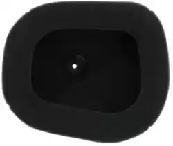 Here you can order the filter, air pre-oiled (fr) for pfk (151125c) from Twin AIR, with part number 46151125FRX: