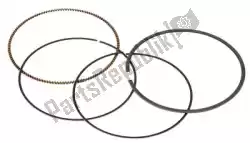Qui puoi ordinare sv fasce elastiche fuoristrada da Vertex , con numero parte VT590279000001: