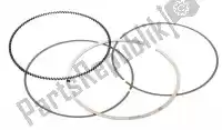 VT590296000001, Vertex, Sv fasce elastiche fuoristrada    , Nuovo