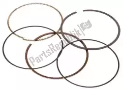 Qui puoi ordinare sv fasce elastiche fuoristrada da Vertex , con numero parte VT590395000002:
