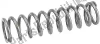 F38100002, Showa, Spare part spring b    , New