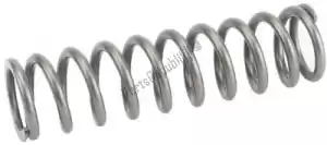 SHOWA F38100017 spare part spring b - Bottom side