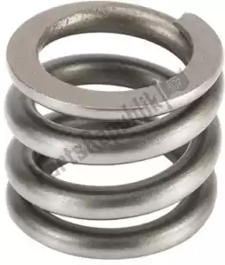 SHOWA F38500008 spare part rebound spring - Bottom side