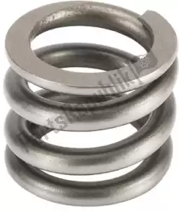 SHOWA F38500007 spare part rebound spring - Bottom side