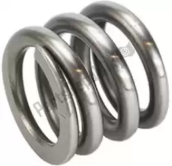 Here you can order the spare part rebound spring b from Showa, with part number F39000001: