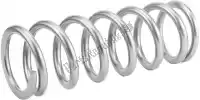 R38005304, Showa, Spare part rr spring 64/244/52    , New