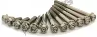 STIMENG250SXF, Scar, Tuercas y tornillos kit de tornillos de motor de titanio 250-350 sxf    , Nuevo