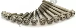 Here you can order the nuts and bolts titanium engine bolt kit kx450 from Scar, with part number STIMENGKX450: