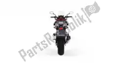 Here you can order the exh set okami stainless steel matt ec from Remus, with part number 0514582254118: