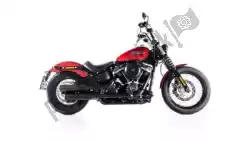 Here you can order the exh custom incl cat, no end cap, chrome, ec from Remus, with part number 007152300218: