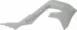 Here you can order the bs ra radiator scoops kawasaki white from Rtech, with part number 566225360: