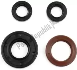 Here you can order the sv engine oil seal kits from Athena, with part number P400010400034: