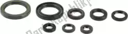 Here you can order the complete engine oil seal kit from Athena, with part number P400210400202: