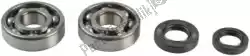Here you can order the rep bearing kit and crankshaft oil seal from Athena, with part number P400210444079: