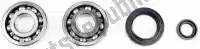 P400210444249, Athena, Rep bearing kit and crankshaft oil seal    , New