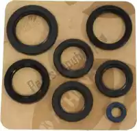 P400250400018, Athena, Engine oil seal kit    , New