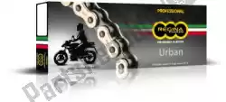 Here you can order the chain kit chain 428 126 eb oro 118l g&b & sprockets from Regina, with part number 39809213104: