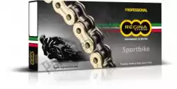 Qui puoi ordinare kit catena catena 525 137 zrp 106l g&b & pignoni da Regina , con numero parte 39805087403:
