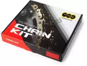 REGINA 39801013204 chain kit chain 428 126 ort2 122l g&b & sprockets - Upper side