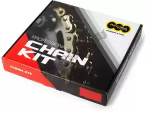 REGINA 39805301752 ketting kit chain 420 124 rh2 136l g&b & sprockets - Bovenkant