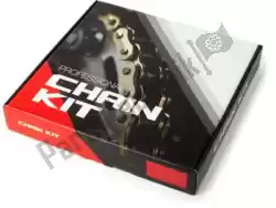 Qui puoi ordinare kit catena kit catena, 3d, acciaio da Threed , con numero parte 393D5097200: