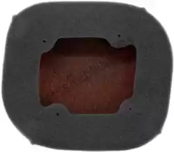 Here you can order the filter, air air filters ktm from Twin AIR, with part number 46154220FR: