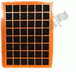 Here you can order the filter, air stock replacement kits from Twin AIR, with part number 46154523P: