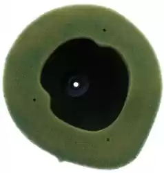Here you can order the filter, air pre-oiled from Twin AIR, with part number 46158046X: