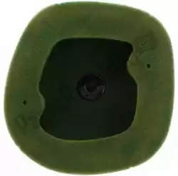 Here you can order the filter, air beta from Twin AIR, with part number 46158089X: