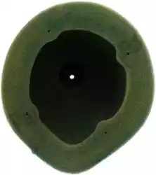 Here you can order the filter, air pre-oiled tm from Twin AIR, with part number 46158155X: