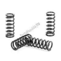 PX17CS21028, Prox, Sv clutch spring kit    , New