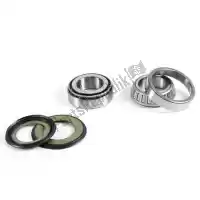 PX24110018, Prox, Sv steering bearing kit    , Nieuw