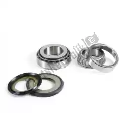 Here you can order the sv steering bearing kit from Prox, with part number PX24110030: