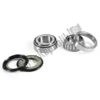 PX24110021, Prox, Sv steering bearing kit    , Nieuw