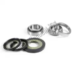 Here you can order the sv steering bearing kit from Prox, with part number PX24110058: