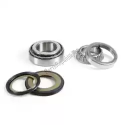 Here you can order the sv steering bearing kit from Prox, with part number PX24110064: