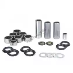 Here you can order the sv swingarm linkage bearing kit from Prox, with part number PX26110038: