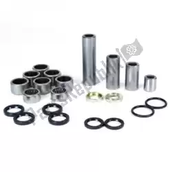 Here you can order the sv swingarm linkage bearing kit from Prox, with part number PX26110163:
