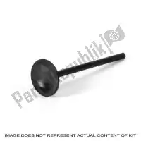 PX2814131, Prox, Sv steel exhaust valve    , Nieuw