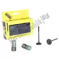 PX28SES24021, Prox, Sv steel exhaust valve and spring kit    , Nieuw