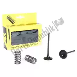 Here you can order the sv steel exhaust valve and spring kit from Prox, with part number PX28SES24401: