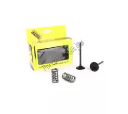 Here you can order the sv steel exhaust valve and spring kit from Prox, with part number PX28SES24441: