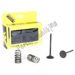 Here you can order the sv steel exhaust valve and spring kit from Prox, with part number PX28SES33381: